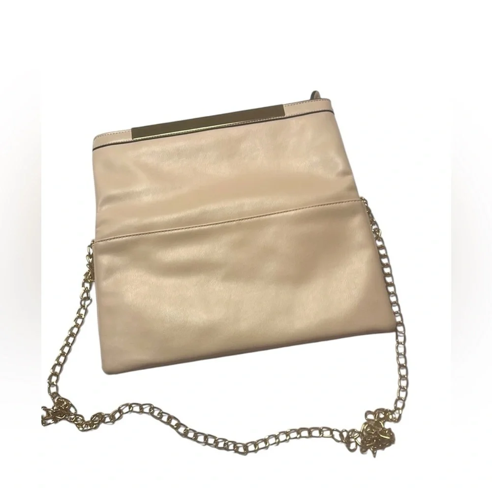 Aldo Pamela clutch/crossbody.